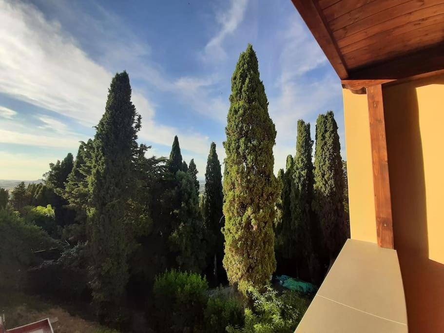 Lajatico Rentals - Terrazza Sul Tramonto Del Silenzio المظهر الخارجي الصورة